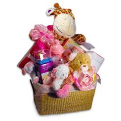 Baby Girl Basket