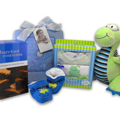 Dinosaur Baby Boy Basket