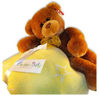 Baby`s First Teddy Bear Basket