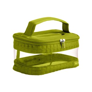 CV Train Case