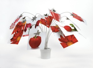 PicFlower