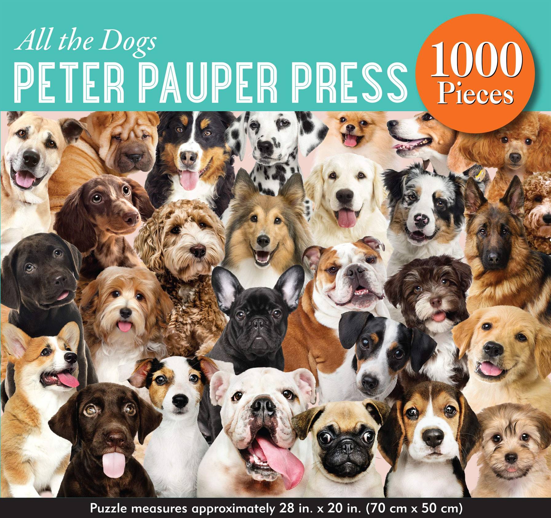All The Dogs Jigsaw Puzzle