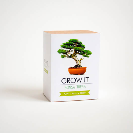 Bonsai Tree Kit