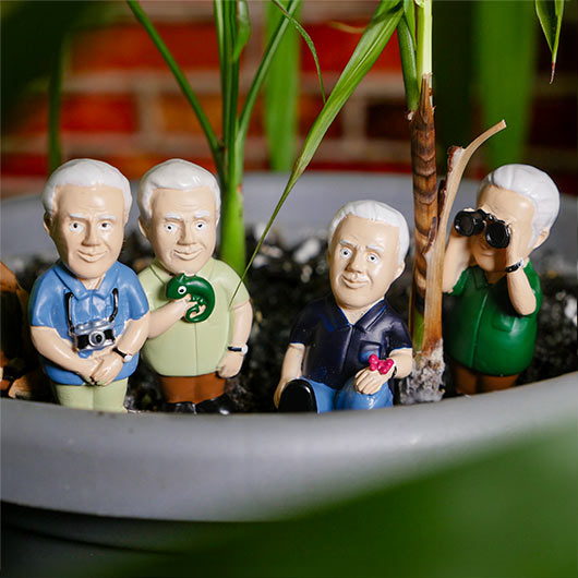 David Attenborough Plant Markers