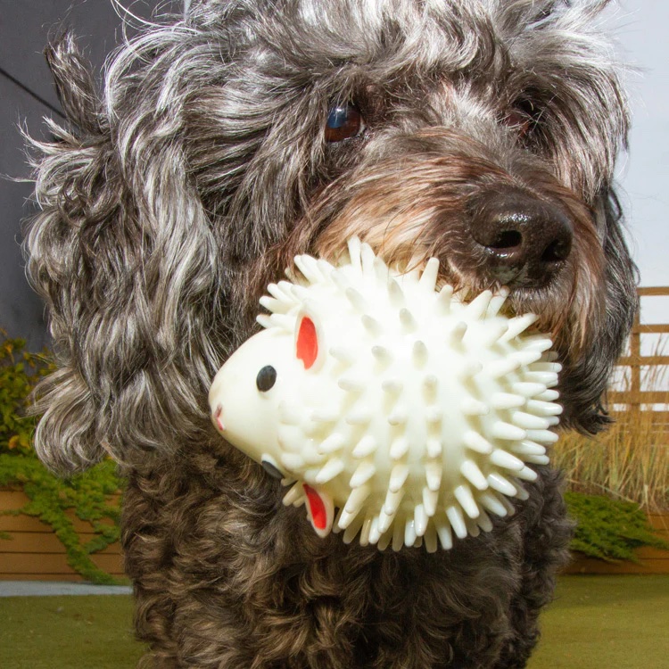 Kobe Sheep Dog Ball