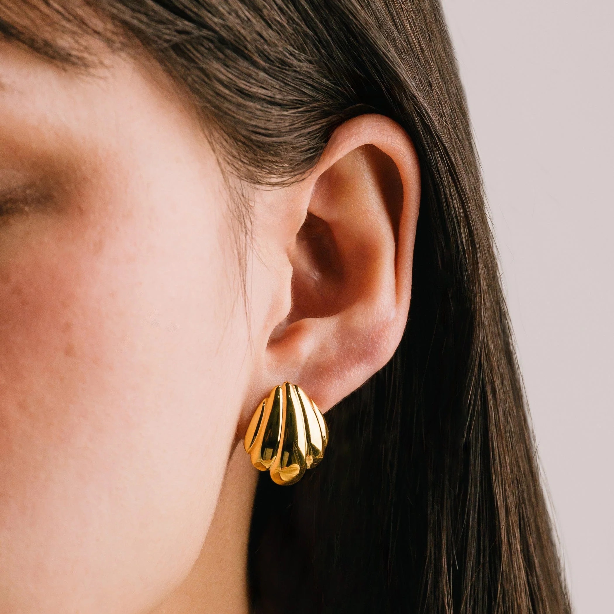 Shell Post Earrings