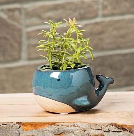 Small Whale Planter