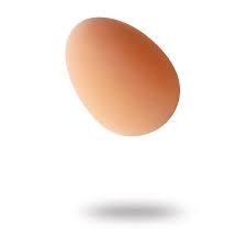 Egg Bouncy Ball